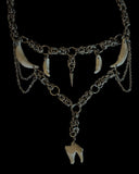 Steel Big Coyote Molar Frenzy Choker