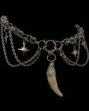 Steel Dog Canine Tooth Sparkle Choker