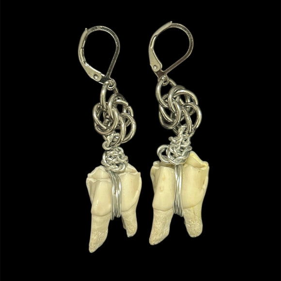 Steel Deer Teeth Earrings #E15