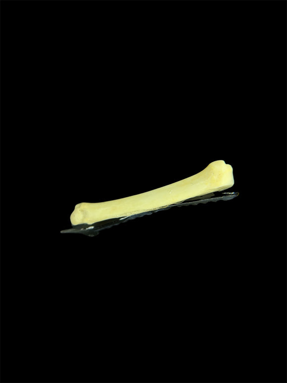 Plain Coyote Foot Bone Hair Clip