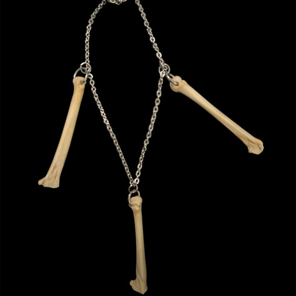 Steel Coyote Foot Bone Tier Necklace #N05