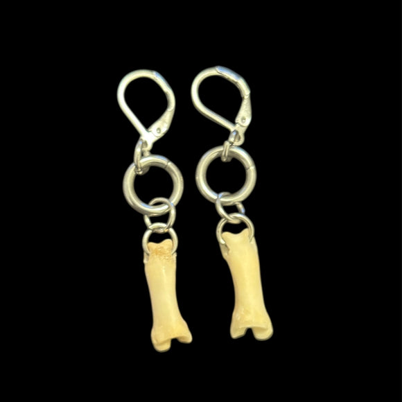 Steel Coyote Toe Bone Earrings #E01