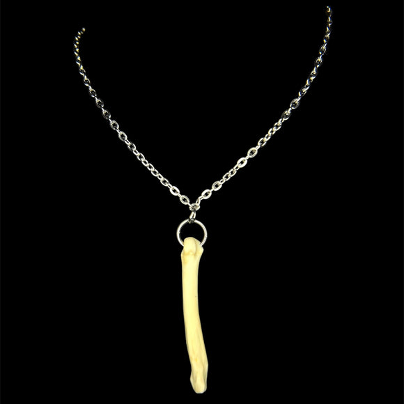 Steel Plain Jane Coyote Foot Bone Necklace