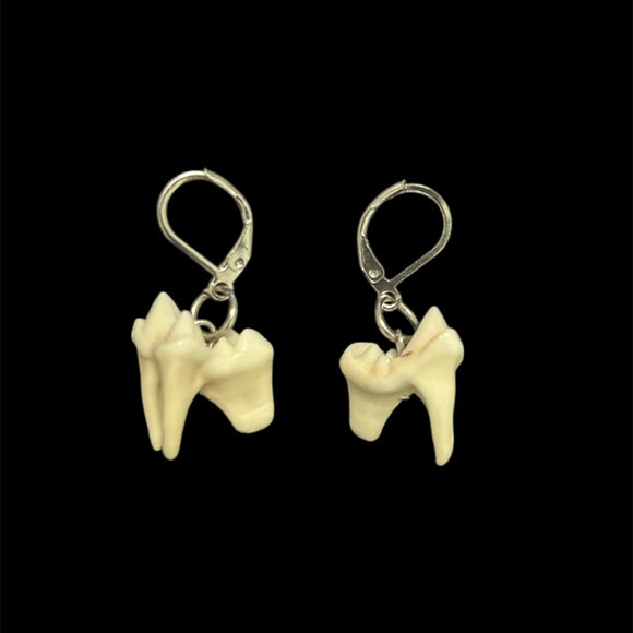 Steel Coyote Teeth Earrings #E05