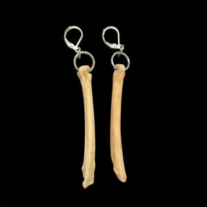 Steel Coyote Foot Bone Earrings #E13