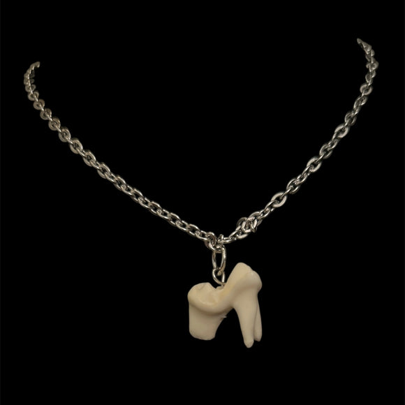 Steel Coyote Molar Necklace #N19