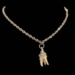 Steel Wire Wrapped Raccoon Tooth #N17