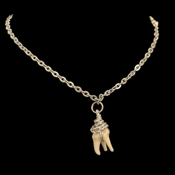 Steel Wire Wrapped Raccoon Tooth #N17