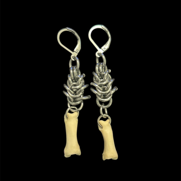 Steel Coyote Toe Bone Earrings #E04