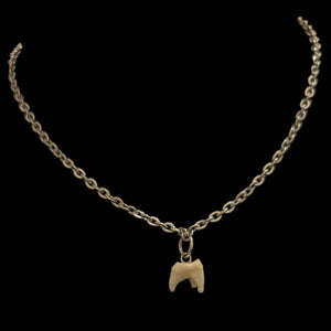 Steel Drilled Raccoon Tooth Necklace #N04