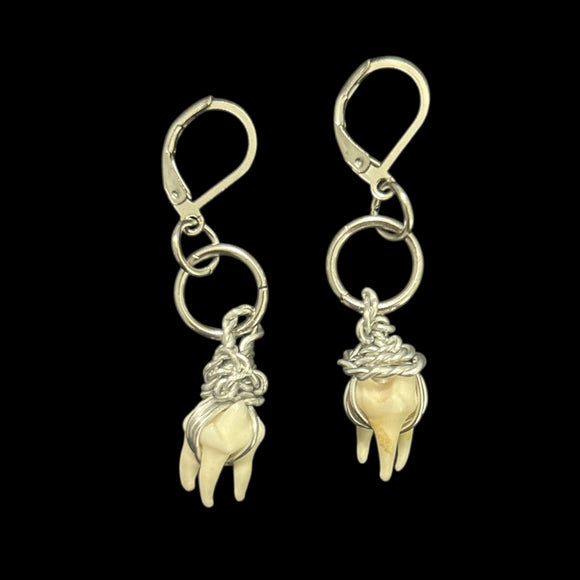 Steel Wire Wrapped Raccoon Teeth Earrings #E02