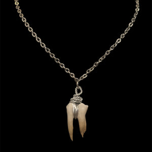 Steel Wire Wrapped Boar Tooth #N27