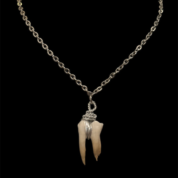 Steel Wire Wrapped Boar Tooth #N27