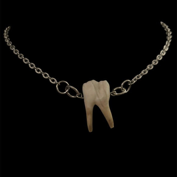 Steel Boar Tooth Necklace #N12