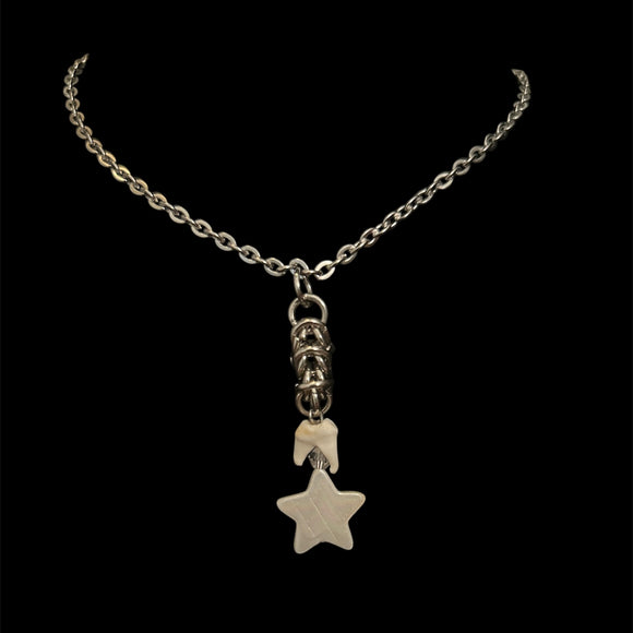 Steel Raccoon Tooth + Star Shell Necklace #N18
