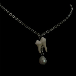 Steel Coyote Tooth + Fresh Pearl Necklace #N07