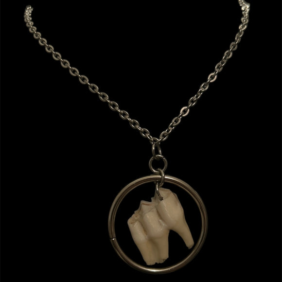 Steel Deer Molar Hoop Necklace #N29