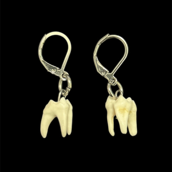Steel Small Raccoon Drilled Tooth Earrings #E03